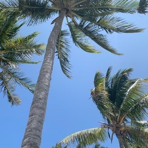 Meet your Posher, Sarina